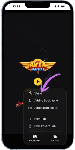Aviamasters Share